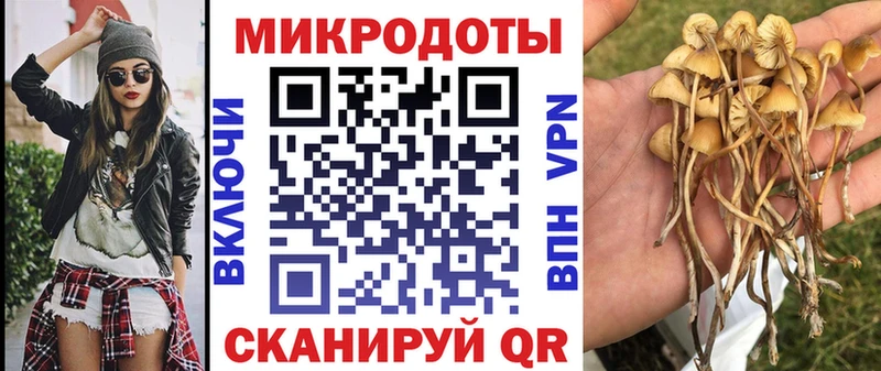 где купить   Артём  Псилоцибиновые грибы ЛСД 